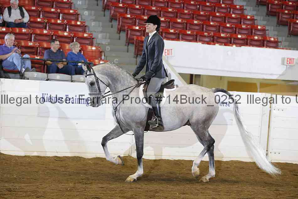 Proof 14buck_0252