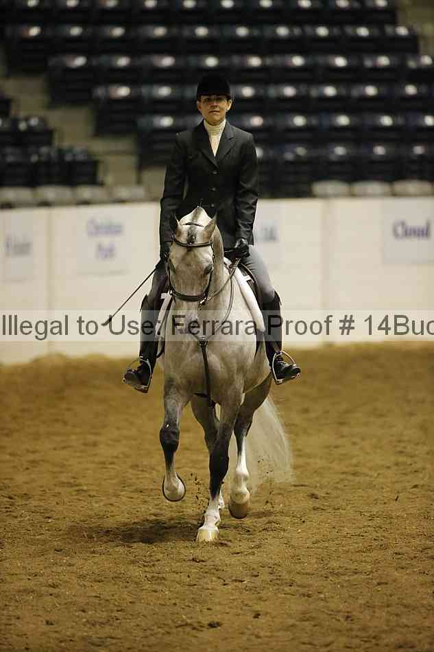 Proof 14buck_0253