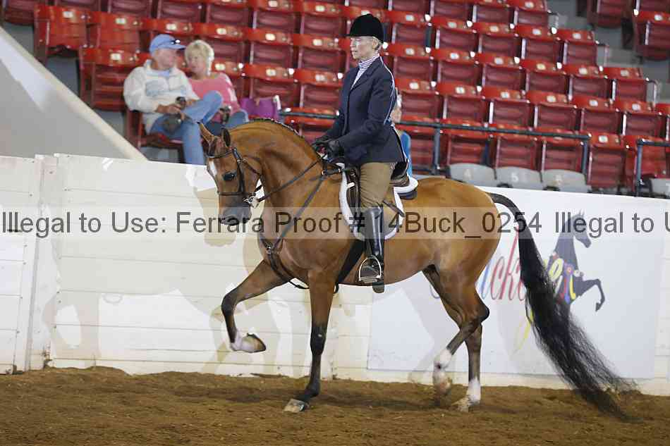 Proof 14buck_0254
