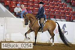 14buck_0254 proof