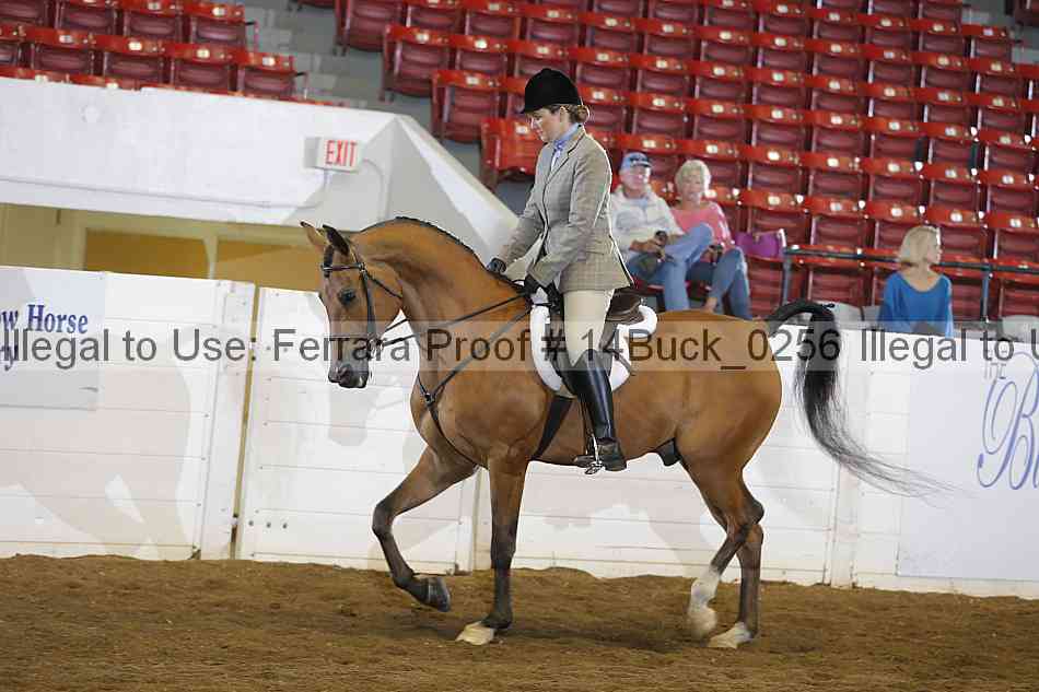 Proof 14buck_0256