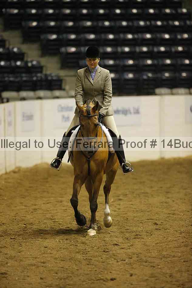 Proof 14buck_0257