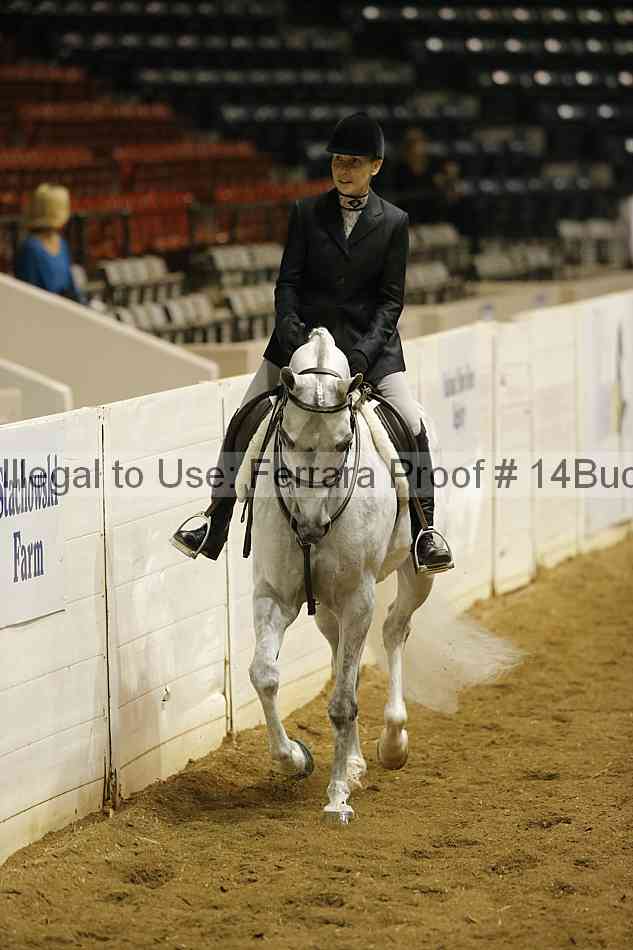 Proof 14buck_0260