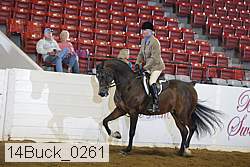 14buck_0261 proof