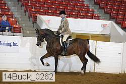 14buck_0262 proof
