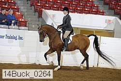 14buck_0264 proof