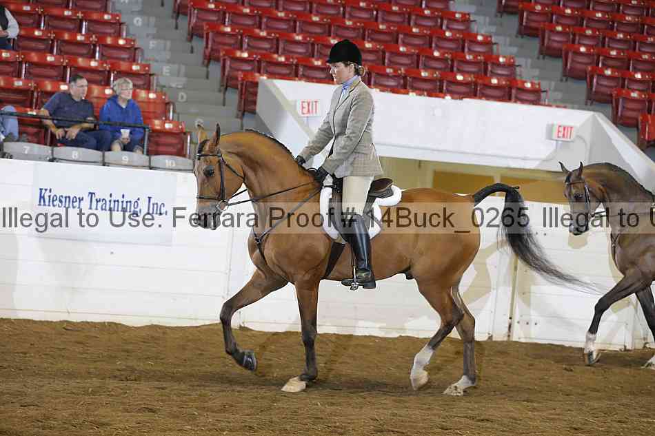 Proof 14buck_0265