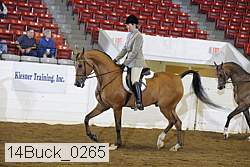 14buck_0265 proof