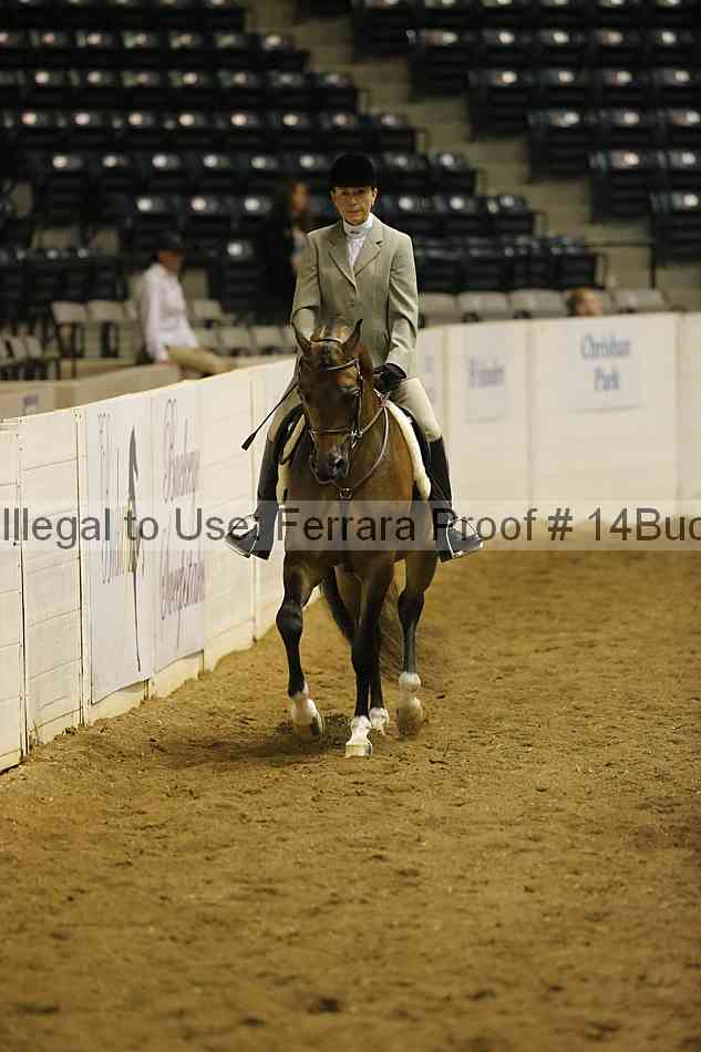 Proof 14buck_0266