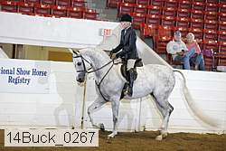 14buck_0267 proof