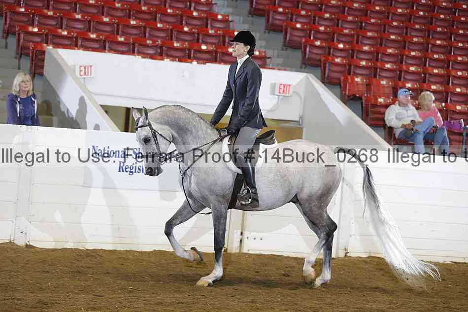 Proof 14buck_0268