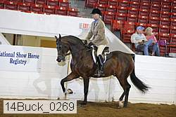 14buck_0269 proof