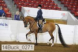 14buck_0271 proof