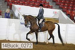 14buck_0272 proof