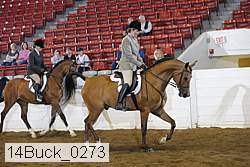 14buck_0273 proof
