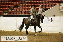 14buck_0274 proof
