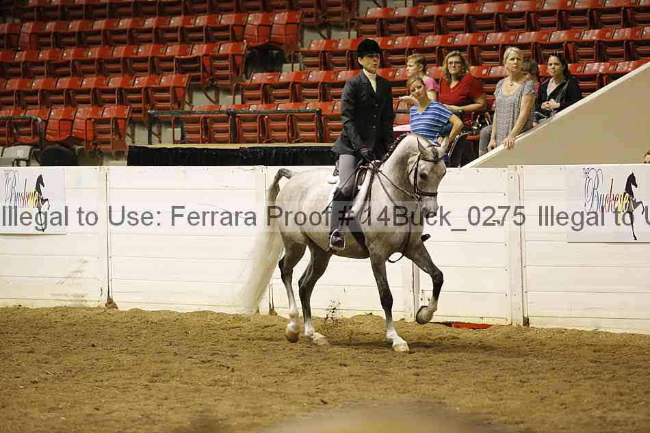 Proof 14buck_0275