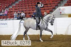 14buck_0276 proof