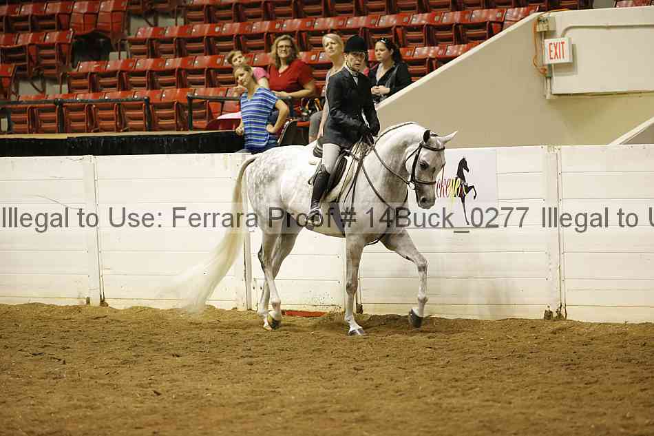 Proof 14buck_0277