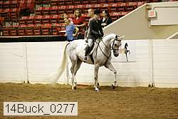 14buck_0277 proof