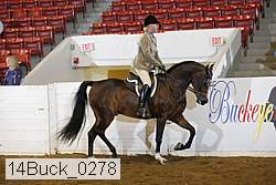14buck_0278 proof