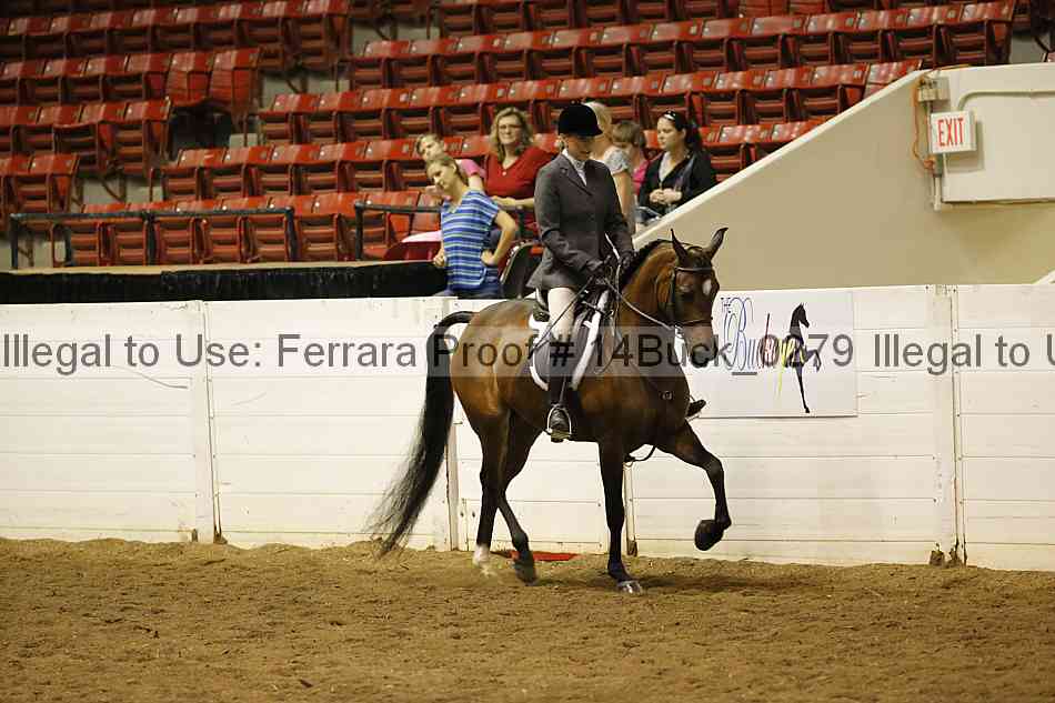 Proof 14buck_0279