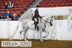 14buck_0282 proof