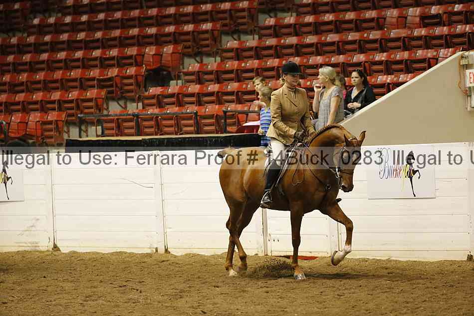 Proof 14buck_0283