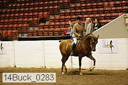 14buck_0283 proof