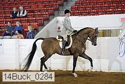14buck_0284 proof