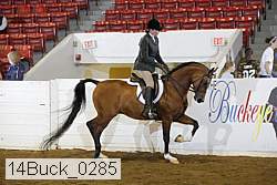 14buck_0285 proof