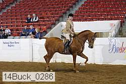 14buck_0286 proof