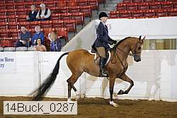 14buck_0287 proof