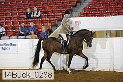 14buck_0288 proof