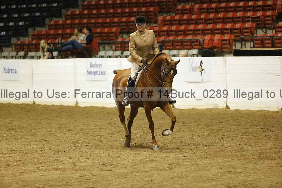 Proof 14buck_0289