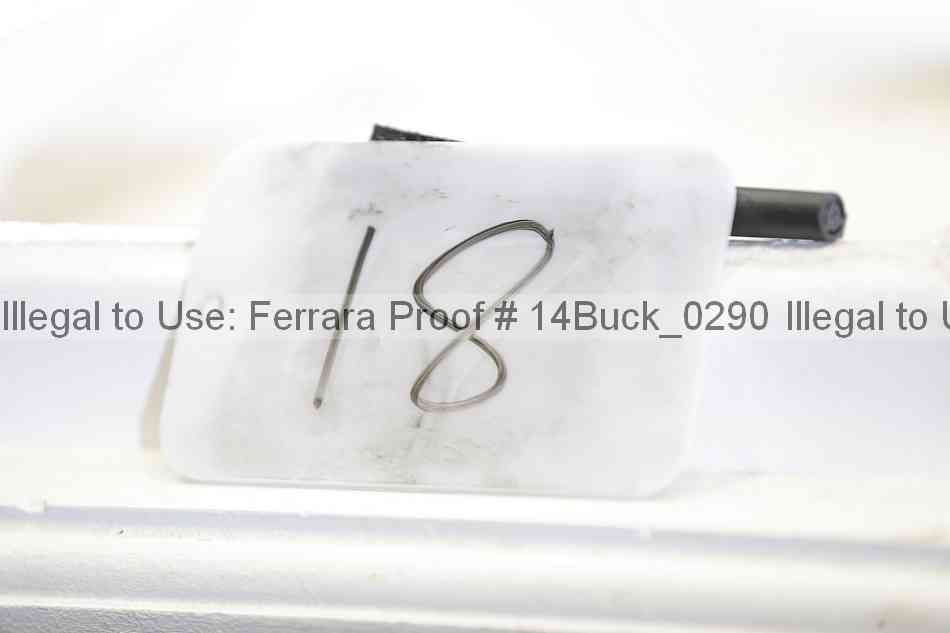 Proof 14buck_0290