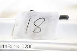 14buck_0290 proof