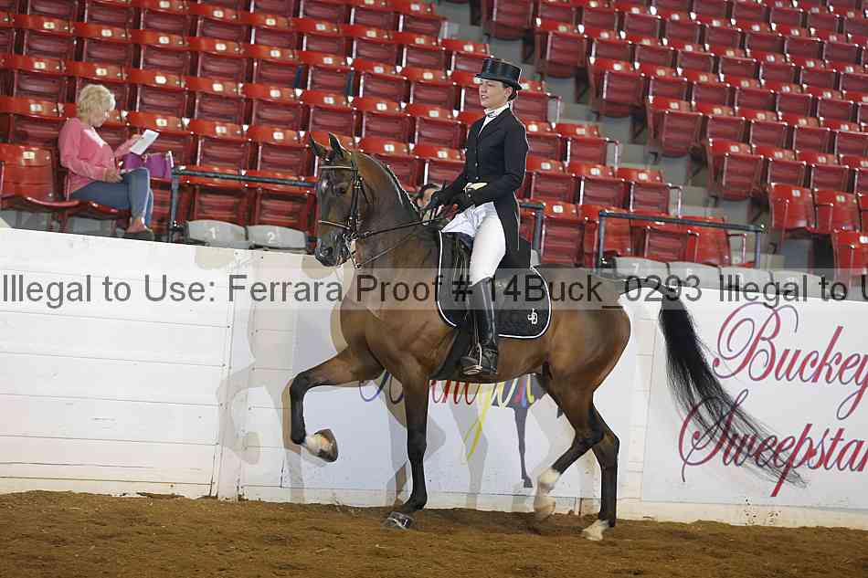 Proof 14buck_0293