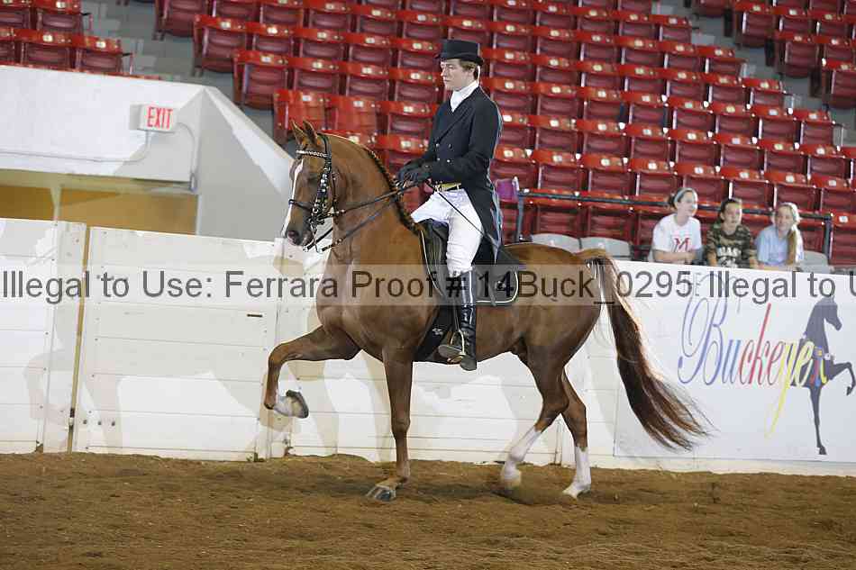 Proof 14buck_0295