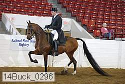 14buck_0296 proof
