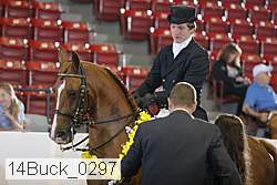 14buck_0297 proof