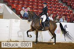 14buck_0301 proof
