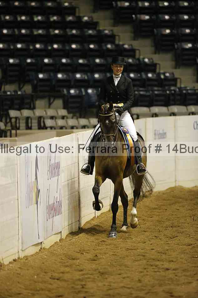 Proof 14buck_0302