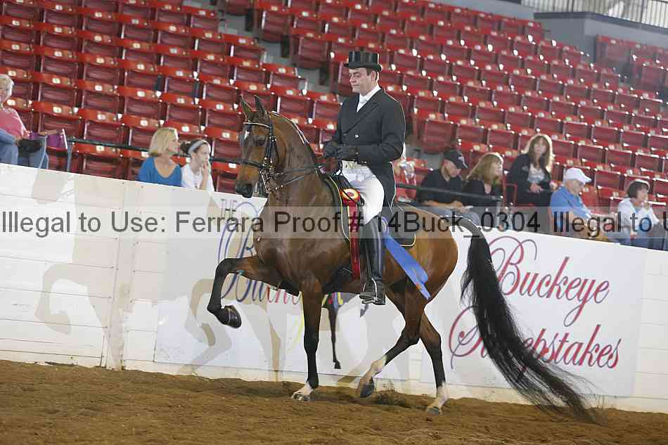 Proof 14buck_0304