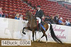 14buck_0304 proof