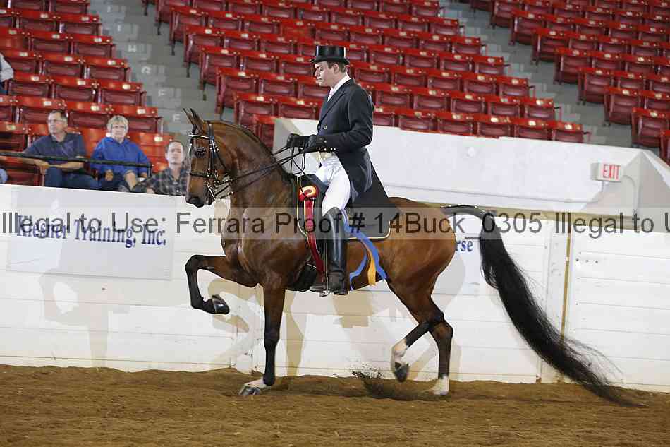 Proof 14buck_0305