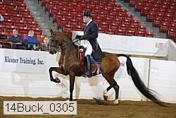 14buck_0305 proof