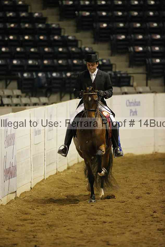 Proof 14buck_0306