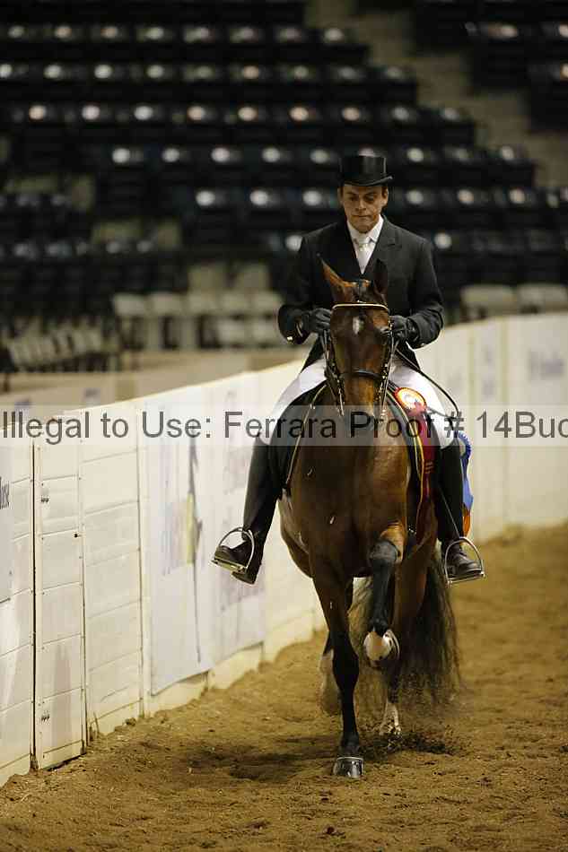 Proof 14buck_0307