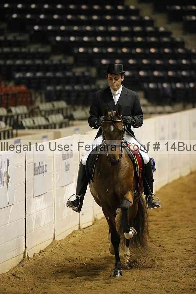 Proof 14buck_0308